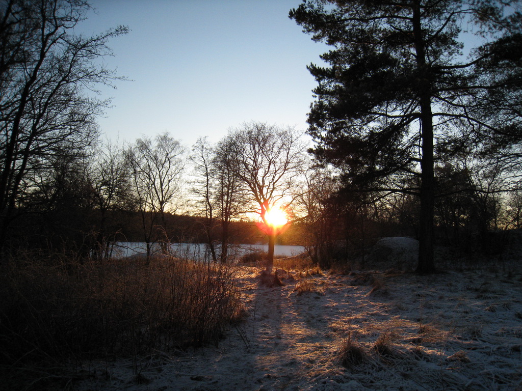 Tyresta