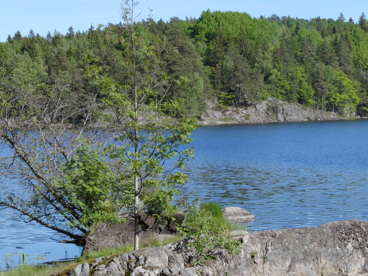 Albybadet