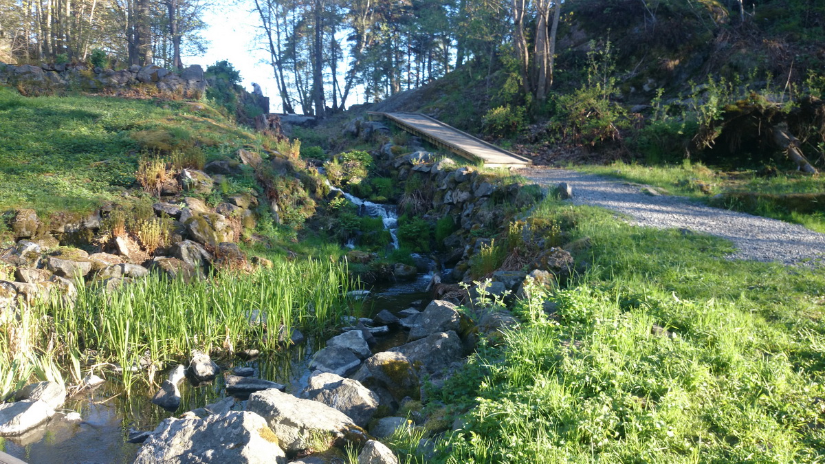 Naturen i Tyresö