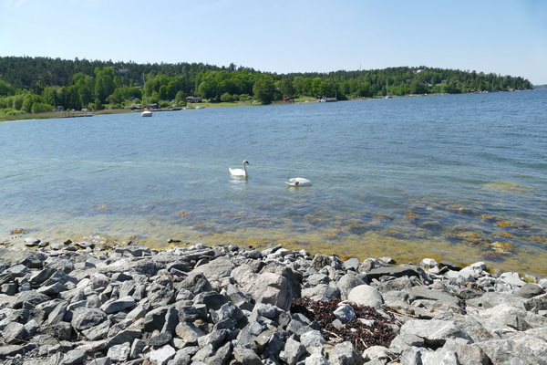 Trinntorp