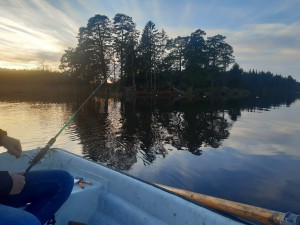 Tjuvfiske och olaglig fiskförsäljning