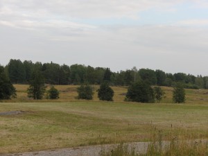 CIMG0115