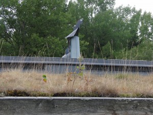 CIMG0117
