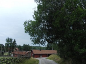 CIMG0123