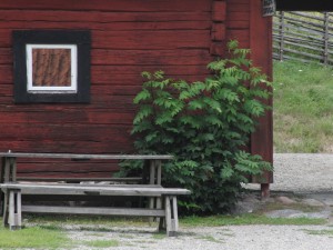 CIMG0139