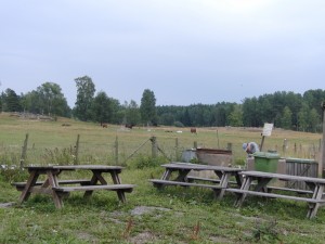 CIMG0145