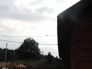 CIMG0146