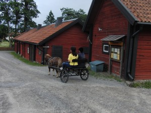CIMG0151