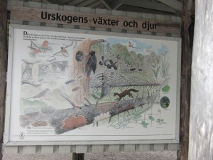 CIMG0161