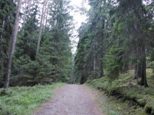 CIMG0174