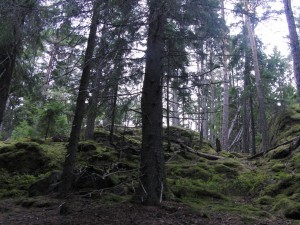 CIMG0175