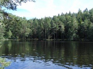 Barnsjön
