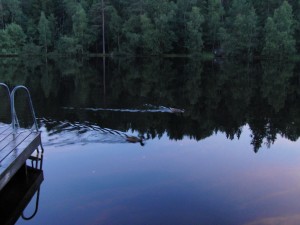 Barnsjön i Tyresö