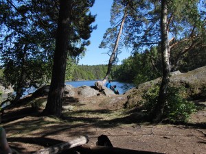 Albysjön Tyresö