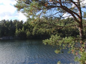 Flaten