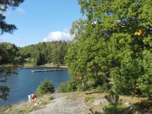 Flaten