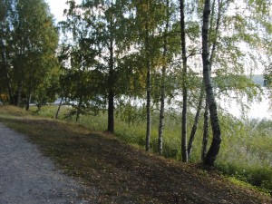 Flaten