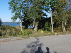 CIMG6771