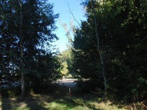 CIMG6772
