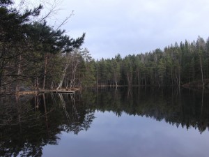 Barnsjön i Tyresö