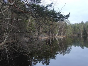 Barnsjön i Tyresö