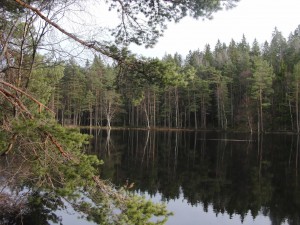 Barnsjön