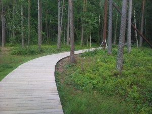 Barnsjön