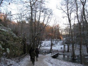 IMG_0111