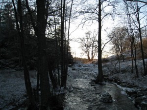 IMG_0114