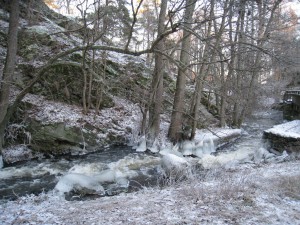 IMG_0118
