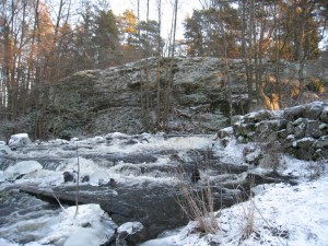 IMG_0121