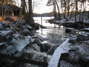 IMG_0123