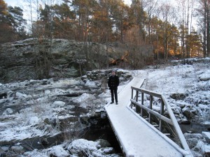 IMG_0139