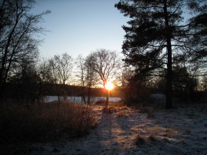 IMG_0152