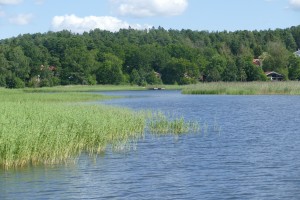 P1070327