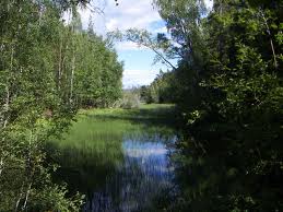 Tyresta nationalpark