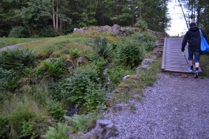fiske (153)