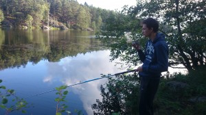 fiske (211)