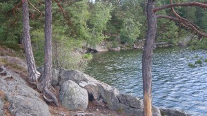 fiske (219)
