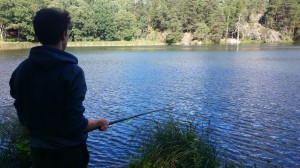 fiske (226)