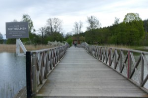 nikitajaigor (138)