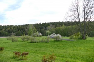 nikitajaigor (65)