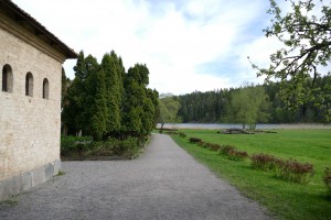 nikitajaigor (70)
