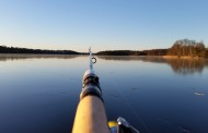 Fiske i Tyresö Kommun