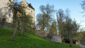 Tyresö slott café