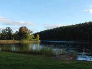 Tyresö slotts trädgård