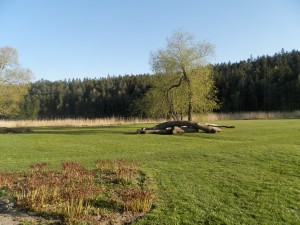 Tyresö slotts trädgård